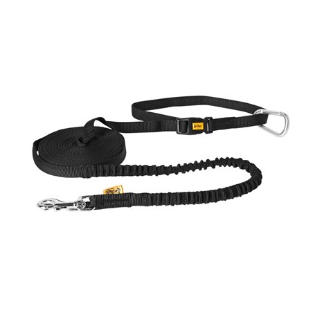 Dingo Ceinture de Marche pour Chien avec Amortisseur