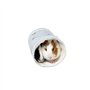 EastVita Tubulure tunnel pour cochon d'Inde - Jouet pour petit animal et accessoires pour cage - Convient pour hamsters syriens,