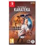 The Making of Karateka NS