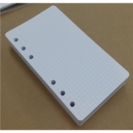 Recharge de rechange 200 feuilles (400 pages) papier épais 120 g/m² - 95 x 171 mm - quadrillé 5 mm - pour agenda organiseur avec