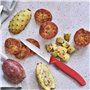Victorinox 6.7731 Couteau d’Office avec Lame Pointue/Tranchant denté, Acier Inoxydable, Rouge, 30 x 5 x 5 cm
