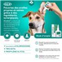 ICF Otodine | Nettoyant Oreille Chien et Chat | Nettoyant Auriculaire Assainissant pour Chien et Chat | Soin pour l'Hygiène et l