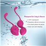 Kegel Balls Kit Poids d'exercice 2 en 1 pour les débutants, balles Kegel pour le serrage, recommandées par les médecins pour le 