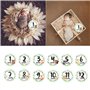 LANCHEN 12 pièces/Ensemble Nouveau-né Jalon commémoratif Mois Autocollants Floral bébé mensuel Autocollant