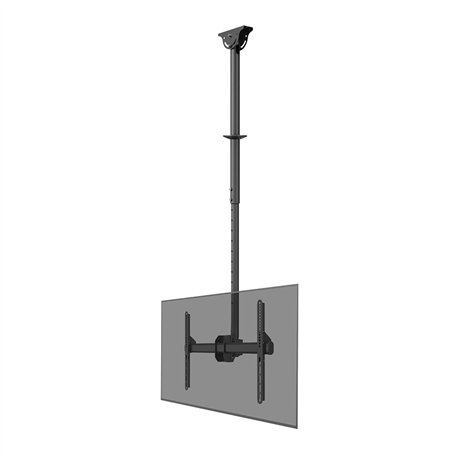 Support de table d'écran Neomounts CL35-440BL16L 70" 37" 50 kg