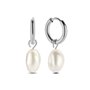 Boucles d´oreilles Femme CO88 Collection 8CE-70425 Argenté
