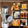 Zerodis Régulateur de gaz CO2 Régulateur de Pression 2 en 1 Soda avec Adaptateur 3 / 8in à TR21.4