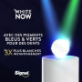 SIGNAL - Dentifrice White Now Gold Blancheur - Des dents 3X plus blanches dès le premier brossage - Blancheur longue durée - Ext