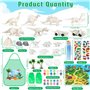 Dinosaure Jouet Garcon Kit Peinture avec 12 Figurines Dino et 2 Voitures Jouet Dinosaure