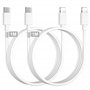Câble USB C vers Lightning 1M-Lot de 2