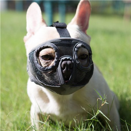 JYHY Court museau Chien Muzzle- Réglable Respirant en Maille Muselière Bulldog pour Piqûres d'Chewing aboiements Chien Masque (S