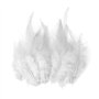 OAOSDH 200 Plumes Blanches