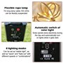 Corde de Guirlande Lumineuse Solaire Exterieure: 7M 100 LED Guirlande Solaire en Sisal 8 Modes Étanche Lampe Décoratives pour Ja