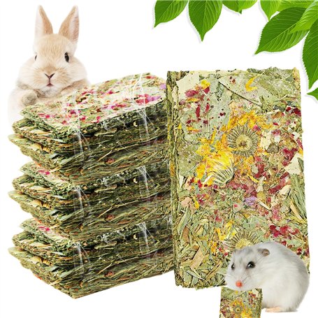 15 Pièces Jouets À Mâcher pour Lapins