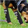 Pssopp 2Pcs Chien Arrière Jambes Bretelles Canine Arrière Jarret Manches Joint Wraps avec des Sangles Réfléchissantes De Sécurit