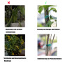 Lot de 2 liens Velcro pour plantes - 5 m - Fixation pour arbre - 25 mm - Fermeture Velcro réglable - Pour fixer les plantes et l