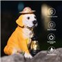 Tuzsocr Statues de jardin solaires - Figurines de chien avec lanterne solaire LED - Décoration de jardin pour l'extérieur - Stat