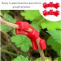 ZBHDEYG Lot de 60 pinces à cintrer pour plantes - Contrôle de la direction de la croissance des plantes - Pince d'entraînement à