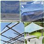 Tapvai 2 M X 3 M Bâche Transparente avec Œillets, Protection Contre Le Vent, La Pluie Et Le Soleil, pour Meubles de Jardin, Plan