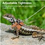 Accessoires pour Reptiles et Lézards avec Laisse de 5