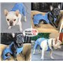 Chemises en jean pour chien, salopette en jean pour animaux de compagnie, veste en jean pour chiot, combinaison tendance et conf