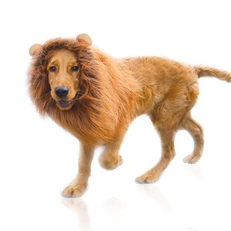 DEEDPF Perruque de crinière de lion pour costume de chien avec oreilles réglable pour cosplay