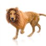 DEEDPF Perruque de crinière de lion pour costume de chien avec oreilles réglable pour cosplay