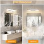 Dehobo Lampe Miroir Salle de Bain 9W 42CM - Applique Salle de Bain avec Interrupteur Blanc Neutre 4000K 730LM - Luminaire Salle 