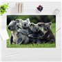 Sous-main pour enfants et adultes - Famille Koala - Accessoire Bureau, Tapis Bureau - 60 x 40 cm - En vinyle de qualité supérieu