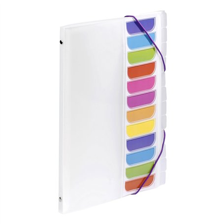 Viquel - Trieur 12 compartiments A4 avec index sur le devant - Fermeture élastique - Incolore