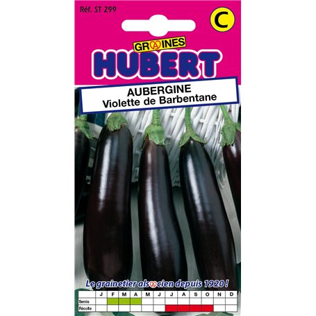 Graines d'Aubergine Violette de Barbentane - 0
