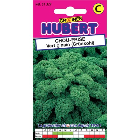 Graines de Chou Frisé 1/2 Nain - Kale - 2 grammes