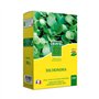 Dichondra - BHS - 300g | 25 m² | Climats doux | Semences enrichies en engrais organique | Implantation rapide et homogene.