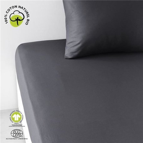 Drap housse - TODAY - 180 x 200 cm + 30 cm - Coton - Organic Fusain