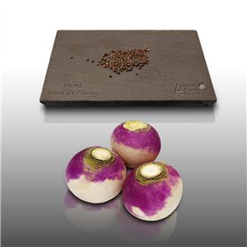 150 graines à semer - Le Grenier d'Abondance - NAVET Rond de Nancy - Rapum