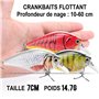 9cm 22gr) Leurre Crankbait 7cm 15g – Pêche Carnassier Eau Douce – Couleur Réaliste