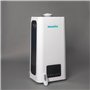 espace commercial. Humidificateur d'air plante