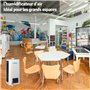 Humidificateur d'air maison, bureau, espace commercial. Humidificateur d'air plante, Humidificateur d'air grand espace jusqu'à 1