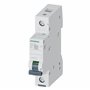 SIEMENS - Disjoncteur modulaire 230/400V 6kA 1 pôle C 6A