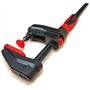 Bessey Apriete GK 450x60mm Multicolore