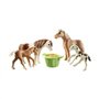 Playmobil 71000 2 poneys islandais et poulains - Country - avec Quatre Chevaux et du Foin - Univers Equitation Animaux - Animaux