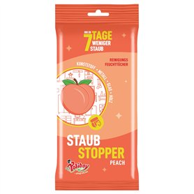 POLIBOY Lot de 24 lingettes anti-poussière