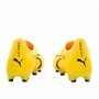 Chaussures de Football pour Adultes Puma Ultra Ultimate Fg/Ag