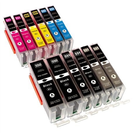 2 x 6 Cartouches d'encre compatibles XL avec puce pour CANON Pixma IP8750 MG6350 MG7150 MG7550 contenant 2 x Canon PGI550BK XL /