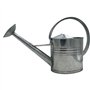 Arrosoir en zinc galvanisé Argenté 10 l