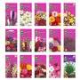 Collection de graines de fleurs inspirées de la RHS - 15 variétés de fleurs de jardin