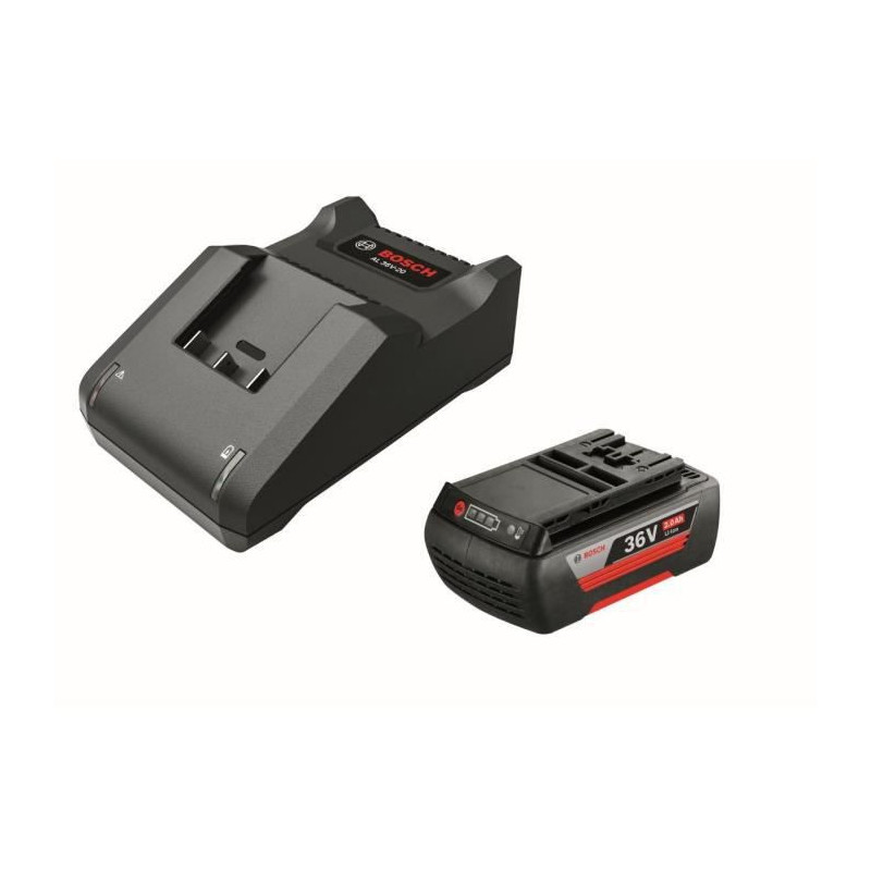 Bosch F016800609 batterie et chargeur d'outil électroportatif Ensemble de batterie et de chargeur