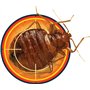 NOPE! CP Anti-Punaises de Lit - Bidon 5L - Solution Contre Les Punaises de Lit dans la Maison - Action Rapide - Effet Longue dur