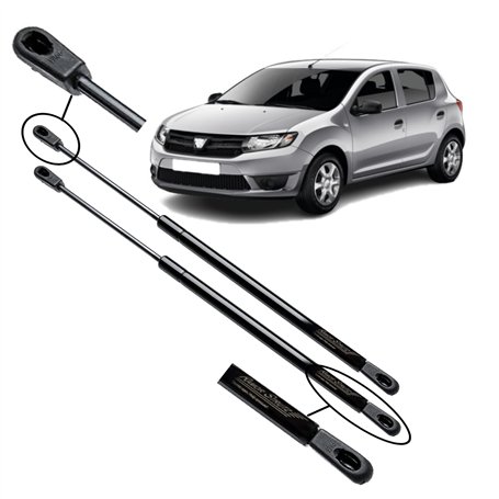 Ramor Strutz 2x Verin de Hayon Compatibles avec Dacia Sandero 2012-2020. Ressorts à Gaz pour Hayon