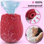 Vibromasseur 6.6cm ⌀5.9cm Stimulateur Clitoridien à Succion 10 Modes vibro Rose Silicone Sex Toýs Femme Suceurs de Clitoris Sex